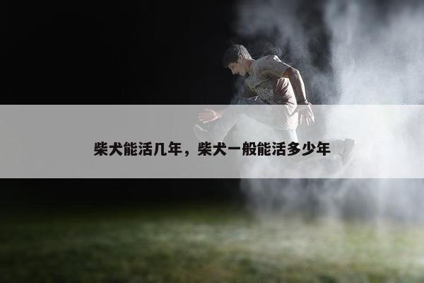 柴犬能活几年，柴犬一般能活多少年
