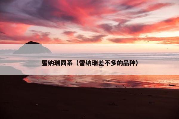 雪纳瑞同系（雪纳瑞差不多的品种）