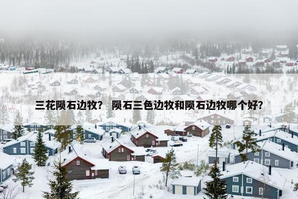三花陨石边牧？ 陨石三色边牧和陨石边牧哪个好？
