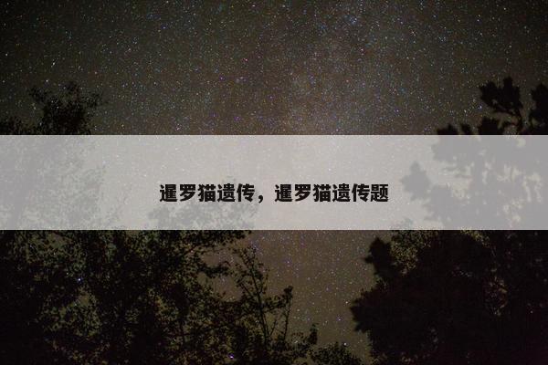 暹罗猫遗传，暹罗猫遗传题