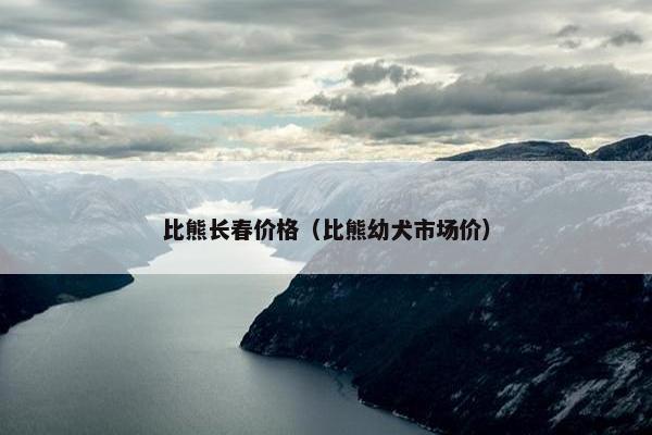 比熊长春价格（比熊幼犬市场价）