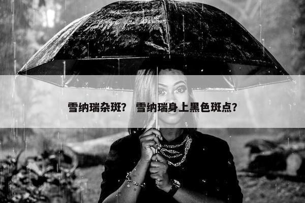雪纳瑞杂斑？ 雪纳瑞身上黑色斑点？