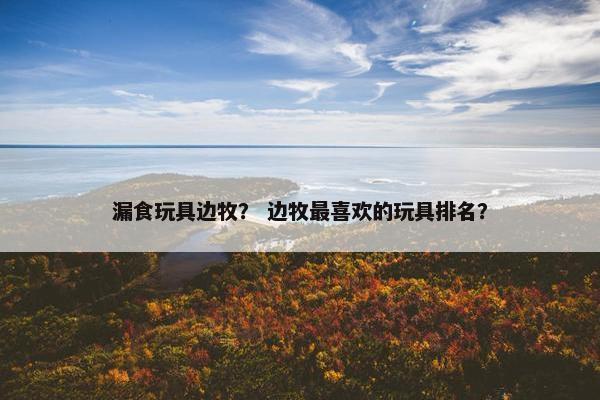 漏食玩具边牧？ 边牧最喜欢的玩具排名？