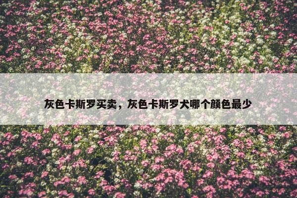 灰色卡斯罗买卖，灰色卡斯罗犬哪个颜色最少