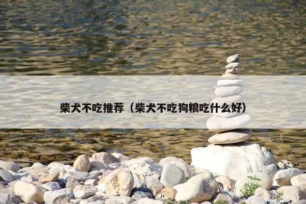 柴犬不吃推荐（柴犬不吃狗粮吃什么好）