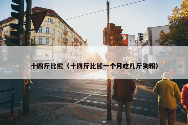 十四斤比熊（十四斤比熊一个月吃几斤狗粮）