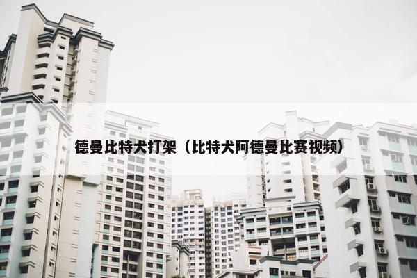 德曼比特犬打架（比特犬阿德曼比赛视频）