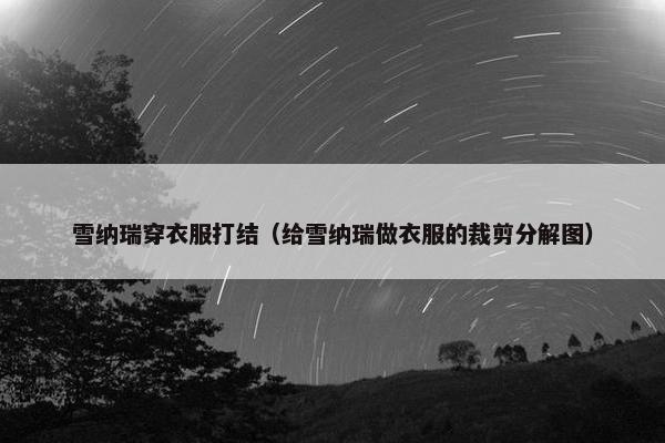 雪纳瑞穿衣服打结（给雪纳瑞做衣服的裁剪分解图）