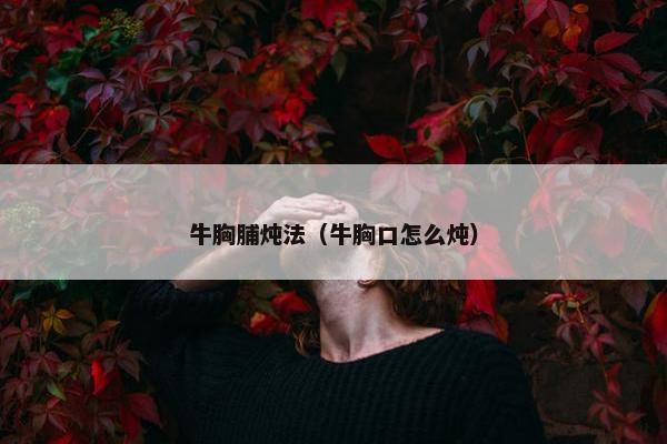 牛胸脯炖法（牛胸口怎么炖）