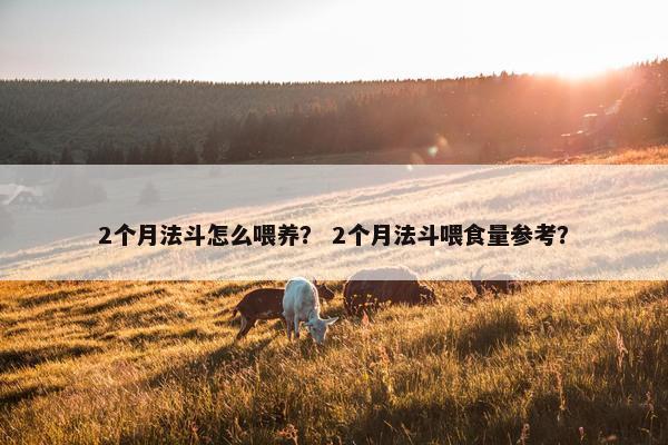 2个月法斗怎么喂养？ 2个月法斗喂食量参考？