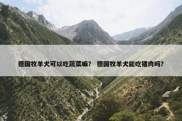 德国牧羊犬可以吃蔬菜嘛？ 德国牧羊犬能吃猪肉吗？