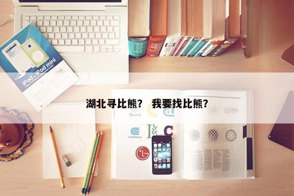 湖北寻比熊？ 我要找比熊？