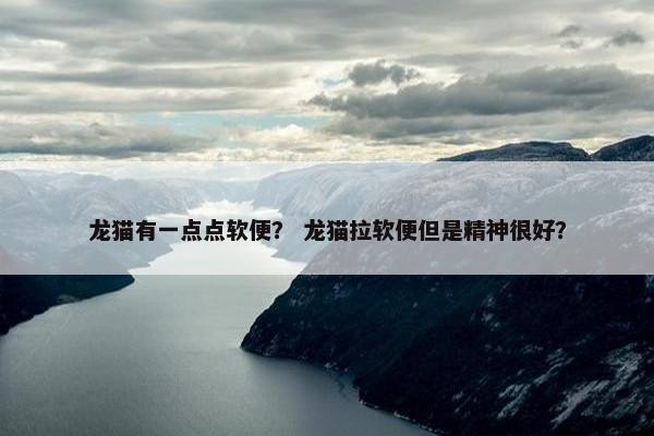 龙猫有一点点软便？ 龙猫拉软便但是精神很好？