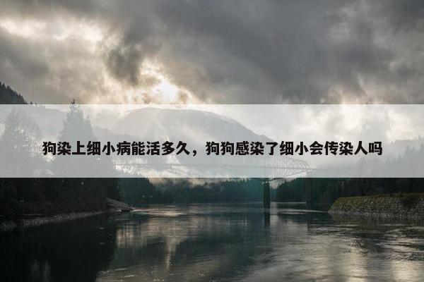 狗染上细小病能活多久，狗狗感染了细小会传染人吗