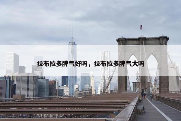 拉布拉多脾气好吗，拉布拉多脾气大吗