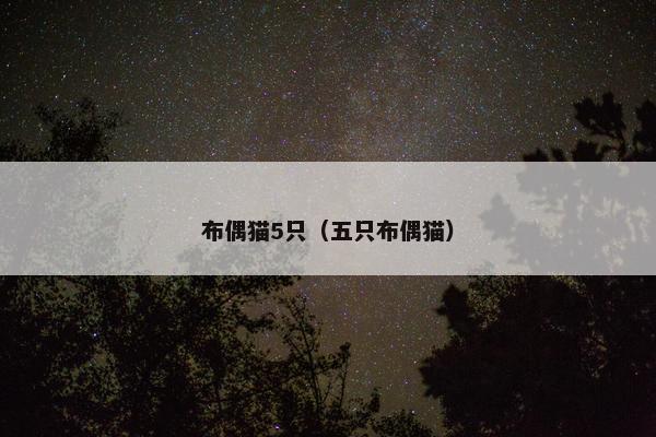 布偶猫5只（五只布偶猫）