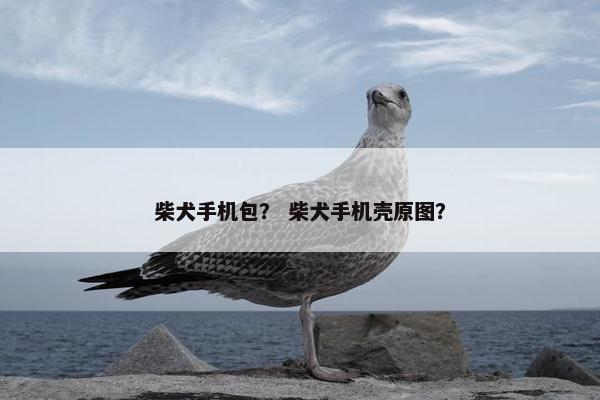 柴犬手机包？ 柴犬手机壳原图？