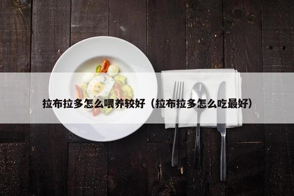 拉布拉多怎么喂养较好（拉布拉多怎么吃最好）