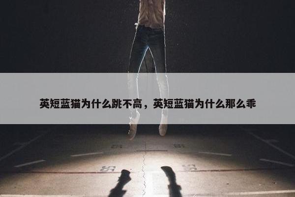 英短蓝猫为什么跳不高，英短蓝猫为什么那么乖
