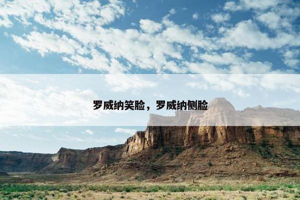 罗威纳笑脸，罗威纳侧脸