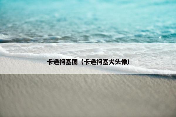 卡通柯基图（卡通柯基犬头像）