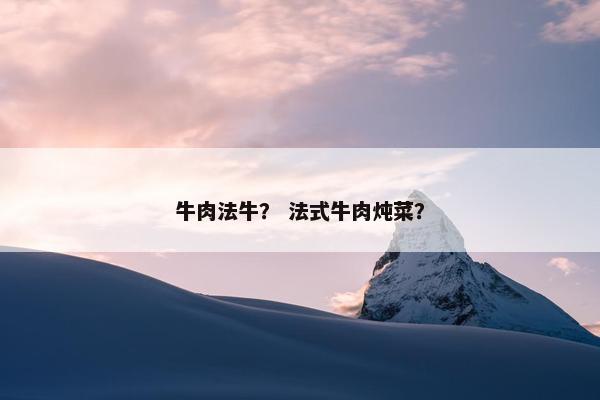 牛肉法牛？ 法式牛肉炖菜？