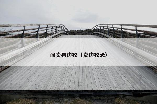 间卖狗边牧（卖边牧犬）