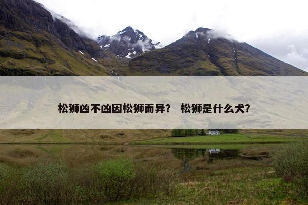 松狮凶不凶因松狮而异？ 松狮是什么犬？