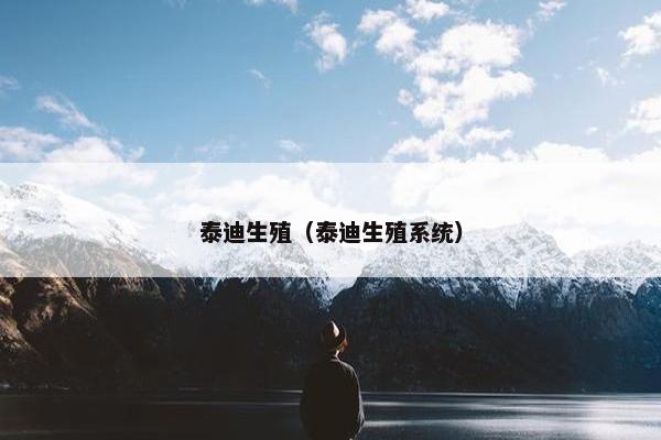 泰迪生殖（泰迪生殖系统）