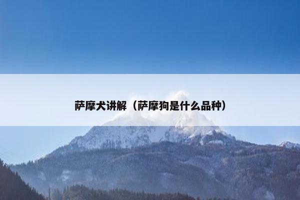萨摩犬讲解（萨摩狗是什么品种）