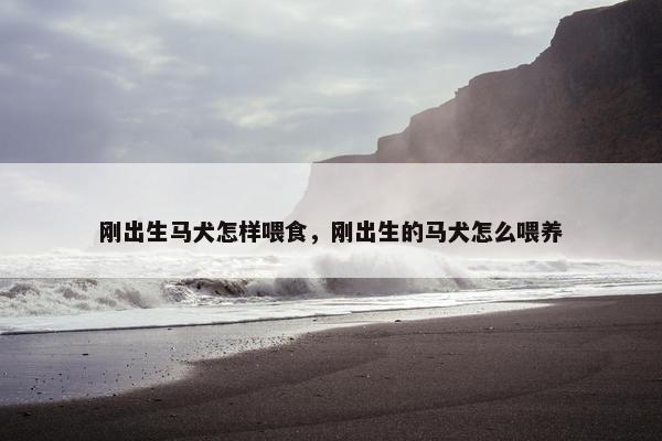 刚出生马犬怎样喂食，刚出生的马犬怎么喂养