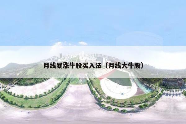 月线暴涨牛股买入法（月线大牛股）