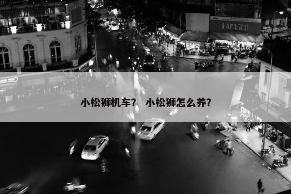 小松狮机车？ 小松狮怎么养？