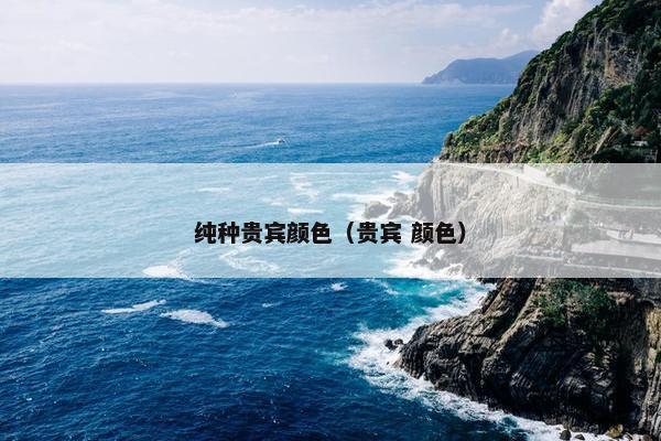 纯种贵宾颜色（贵宾 颜色）