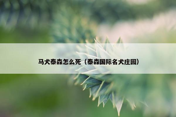 马犬泰森怎么死（泰森国际名犬庄园）