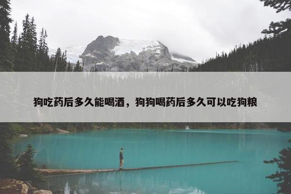 狗吃药后多久能喝酒，狗狗喝药后多久可以吃狗粮