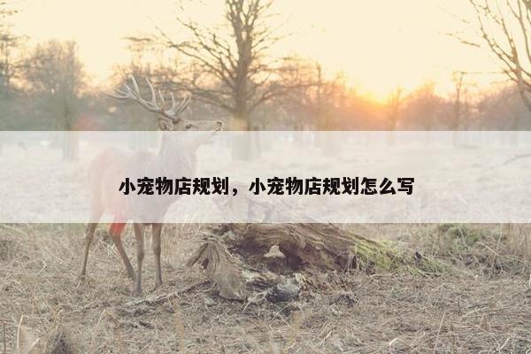 小宠物店规划，小宠物店规划怎么写