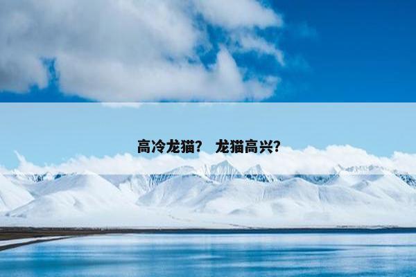 高冷龙猫？ 龙猫高兴？