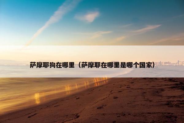 萨摩耶狗在哪里（萨摩耶在哪里是哪个国家）