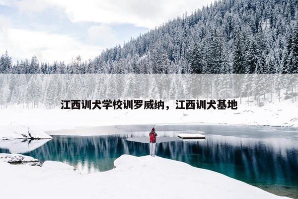 江西训犬学校训罗威纳，江西训犬基地