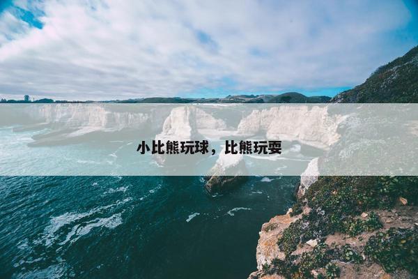 小比熊玩球，比熊玩耍