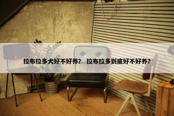 拉布拉多犬好不好养？ 拉布拉多到底好不好养？