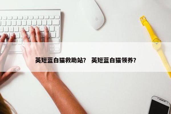 英短蓝白猫救助站？ 英短蓝白猫领养？
