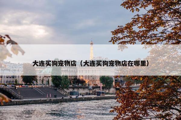 大连买狗宠物店（大连买狗宠物店在哪里）