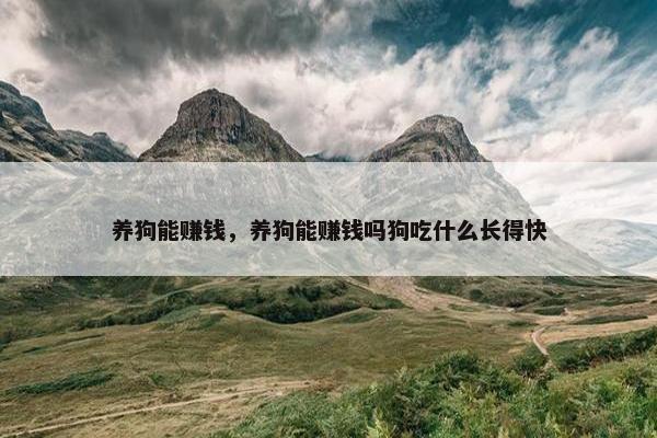 养狗能赚钱，养狗能赚钱吗狗吃什么长得快