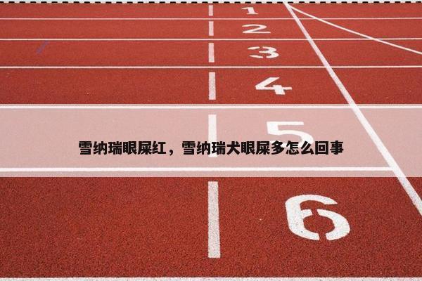 雪纳瑞眼屎红，雪纳瑞犬眼屎多怎么回事