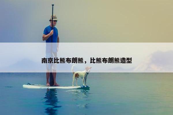 南京比熊布朗熊，比熊布朗熊造型