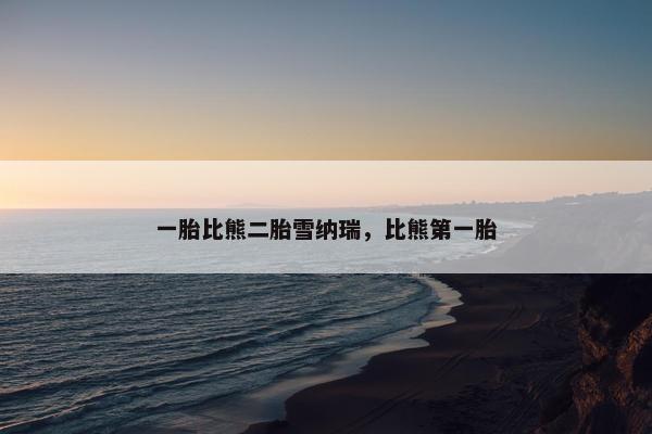 一胎比熊二胎雪纳瑞，比熊第一胎