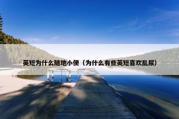 英短为什么随地小便（为什么有些英短喜欢乱尿）