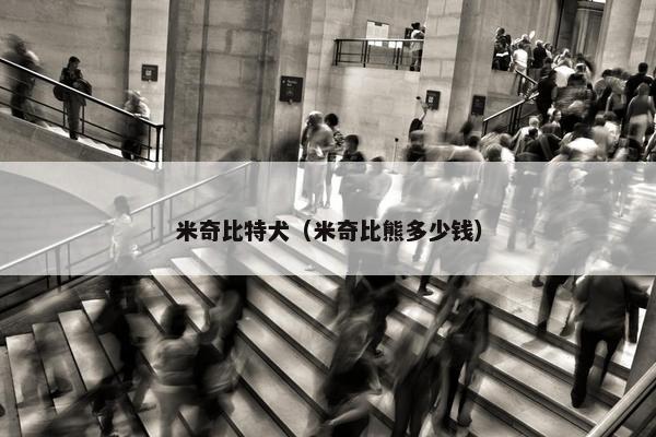 米奇比特犬（米奇比熊多少钱）